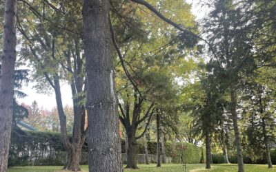 Redemptoristine nuns - Monastic Hospitality & Spiritual Retreat in Ste-Thérèse, Quebec